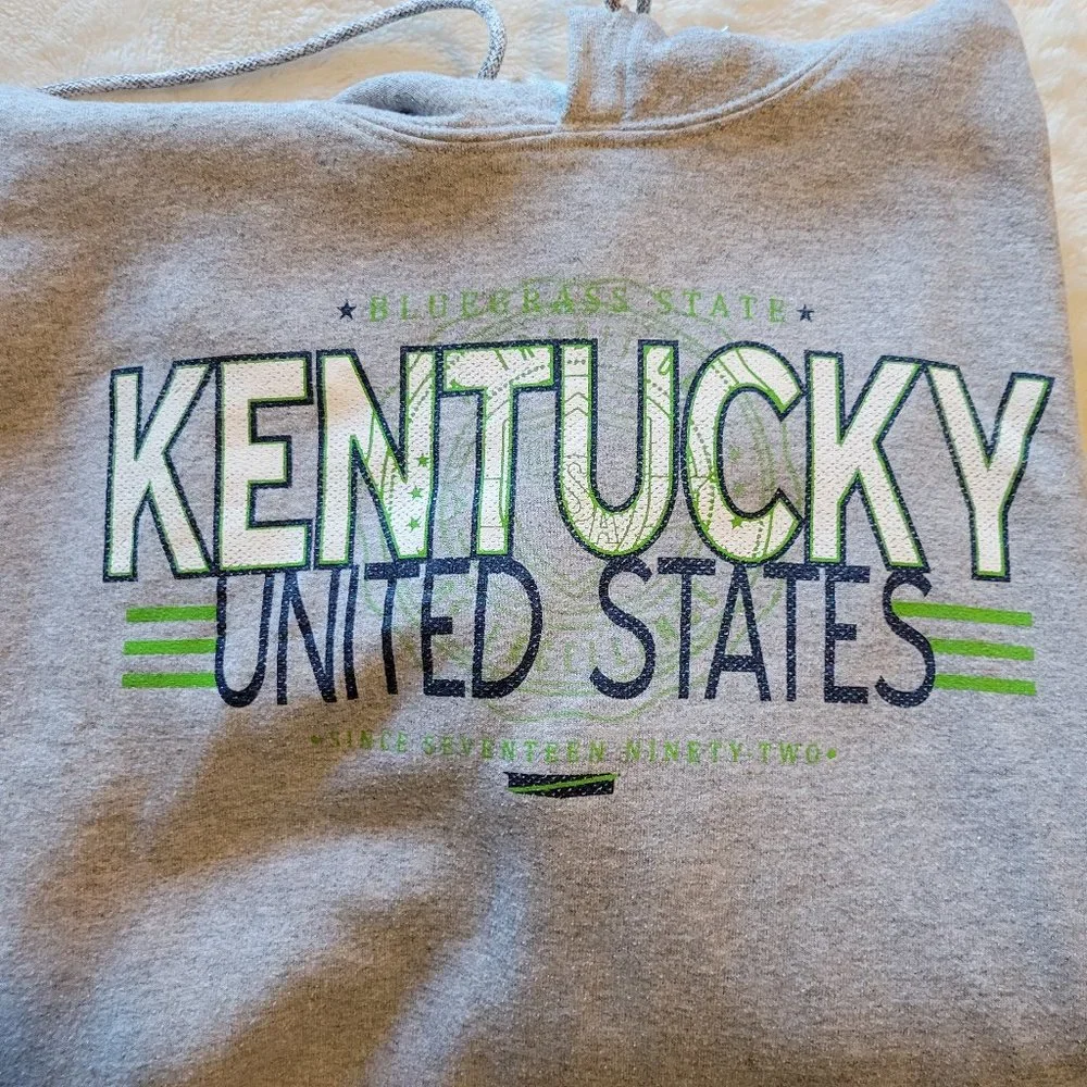 GILDAN KENTUCKY BLUEGRASS STATE GRAY HOODIE IN XXL - Picture 4 of 6